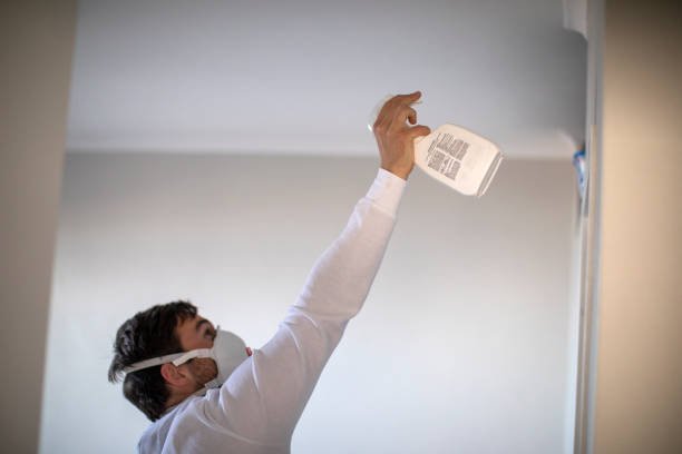 Best Office Mold Removal Services  in North York, PA